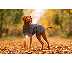 LED-Hunde-Steppjacke Arlo, 300 g