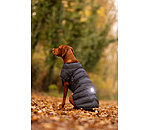 LED-Hunde-Steppjacke Arlo, 300 g
