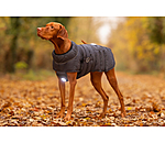 LED-Hunde-Steppjacke Arlo, 300 g