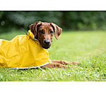 Hunde-Regenmantel Thousand Islands, 0 g