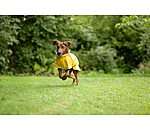 Hunde-Regenmantel Thousand Islands, 0 g
