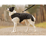 Softshell-Hundemantel Cruz mit integriertem Geschirr, 160 g