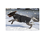 Softshell-Hundemantel Cruz mit integriertem Geschirr, 160 g