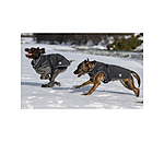 Softshell-Hundemantel Cruz mit integriertem Geschirr, 160 g