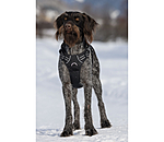 Hundegeschirr Expedition