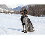 Hundegeschirr Expedition