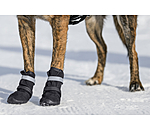 Pfotenschutz-Schuhe Antarctica f�r Hunde