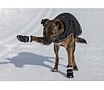 Pfotenschutz-Schuhe Antarctica f�r Hunde