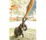 Hundespielzeug Bounce