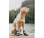 Pfotenschutz-Schuhe Dubai f�r Hunde