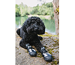 Pfotenschutz-Schuhe Dubai f�r Hunde