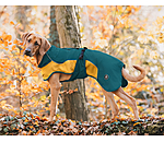 Lightweight Hunde-Regenmantel  Alma, 0 g