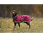 Softshell-Hundemantel mit Fleecekragen Frida