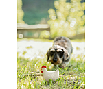 Hundespielzeug Chicken mit Quietsche