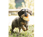 Hundespielzeug Chicken mit Quietsche
