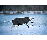 Hunde-Unterzieh- und Fleecemantel Lino