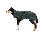 Hunde-Regenmantel Forest Drizzle, 50 g