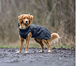 Hunde-Regenmantel Forest Drizzle, 50 g
