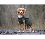 Hunde-Regenmantel Forest Drizzle, 50 g