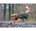 Hunde-Regenmantel Forest Drizzle, 50 g