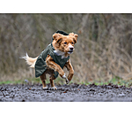 Hunde-Regenmantel Forest Drizzle, 50 g