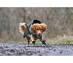 Hunde-Regenmantel Forest Drizzle, 50 g
