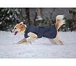 Hunde-Regenmantel Forest Drizzle, 50 g