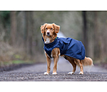Hunde-Regenmantel Forest Drizzle, 50 g