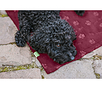 Fleece-�berwurf- und Liegedecke Charly