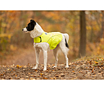 Reflex-Sicherheitsweste f�r Hunde