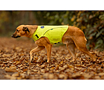Reflex-Sicherheitsweste f�r Hunde