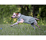 reflektierender Regenmantel f�r Hunde To Go