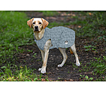 reflektierender Regenmantel f�r Hunde To Go