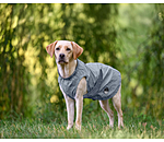 reflektierender Regenmantel f�r Hunde To Go