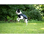 Hunde-Regenmantel Emmi, 0 g
