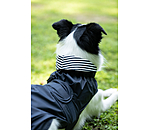 Hunde-Regenmantel Emmi, 0 g