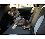Sicherheitsgurt f�r Hunde