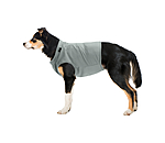 k�hlendes Shirt Frostie
