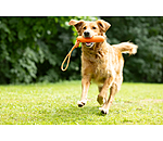 schwimmender Hunde-Wasserdummy
