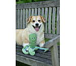 Hundespielzeug Octopus