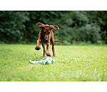 Hundespielzeug Octopus