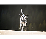 Hundemantel Side Closure, 50 g