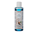 Hundeshampoo Kokos