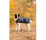 Hundemantel mit Liner-System Northwood, 60 - 220 g