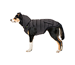 Hunde-Lightweight-Winterjacke Anton, 160 g