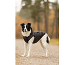 Hunde-Lightweight-Winterjacke Anton, 160 g