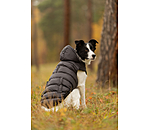 Hunde-Lightweight-Winterjacke Anton, 160 g