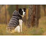 Hunde-Lightweight-Winterjacke Anton, 160 g