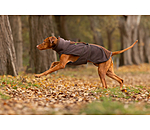 Teddyfleece Hundemantel Frido