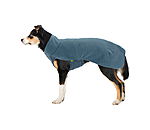 Hunde-Unterzieh- und Fleecepullover Basic